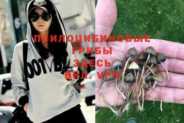 спайс Вязники